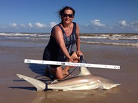 Sharkaholics - Randa Crain