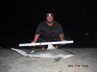 Team Southern Sharkers - Donnie Tidwell
