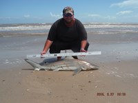 Team Southern Sharkers - Donnie Tidwell