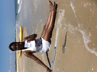 Sharknado - Annie  Green