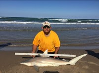 Down South Hook Setters - juan cisneros