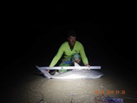 CatchSharks - Nick Williamson