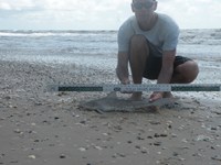 CatchSharks - Steven Kennedy