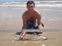 Sharkaholics - Zach Crain