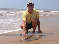 Sharkaholics - David Crain