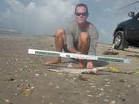 CatchSharks - Steven Kennedy