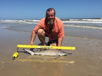 Morton saltwater fishing - Robert Morton