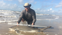 Morton saltwater fishing - Randall Dunn