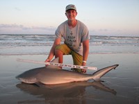 REELentless Sharkers - Clayton Nagler