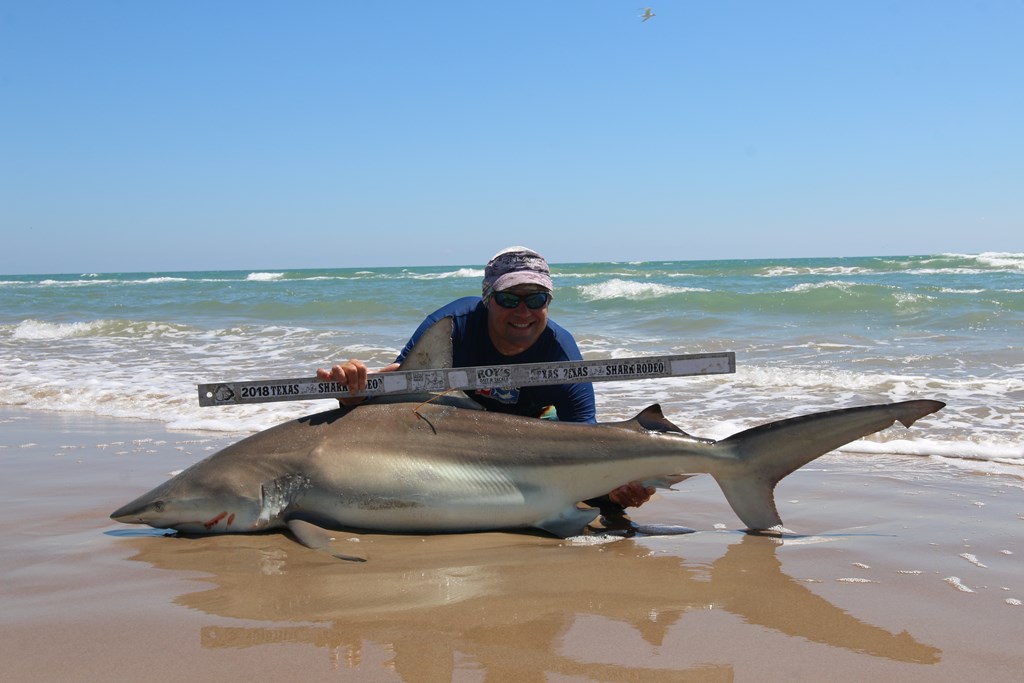 Shark Rodeo