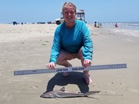 Texas Shark Research Team - Kimberly  Lynch
