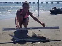 Texas Shark Research Team - Rhiannon Lynch