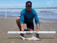 Texas Shark Research Team - Robert Grimsley
