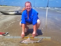 Texas Shark Research Team - Kimberly Lynch
