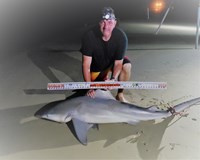 SharkSquad - Steve Croy