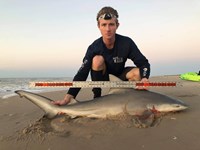 Make Sharking Great Again - Jullian Lopez