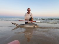 Surf Stalkers - Craig Ettenhofer