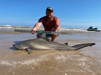 Just Bitten Shark Fishing Team - Klayton  Hoffart