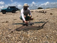 Just Bitten Shark Fishing Team - Guy  Havel