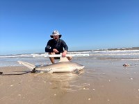 Just Bitten Shark Fishing Team - Guy Havel