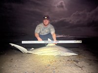 Just Bitten Shark Fishing Team - Josh Oneal