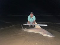Just Bitten Shark Fishing Team - Josh Oneal
