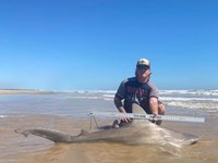 Just Bitten Shark Fishing Team - Coulter  Zabcik