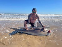 Shark Lives Matter - Scott Loucks