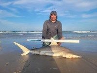 South Texas Shark Stewards - ROME Fuentes