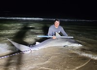 South Texas Shark Stewards - ROME Fuentes