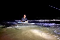 South Texas Shark Stewards - Pedro  Elizadle