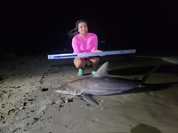 South Texas Shark Stewards - Vanessa  Fuentes