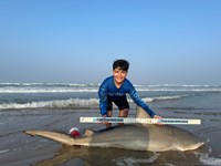 South Texas Shark Stewards - Cody  Guardiola