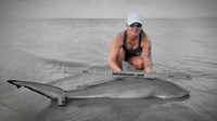 Sharkaholics - Erika Green
