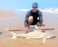 Shark Towing Co. - Nick  Domine