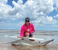 Just Bitten Shark Fishing Team - Katie  Dickey