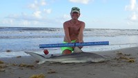 Sharkaholics - David Crain