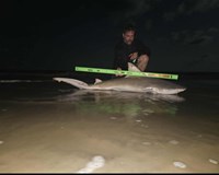 Rodeo Heroes - Travis Spencer