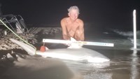 Sharkaholics - David Crain