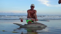 Sharkaholics - David Crain