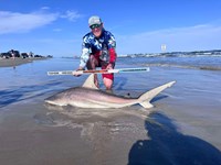 FISH ON CUSTOM LEADERS - Joey Hansen