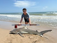 South Texas Shark Stewards - Cody  Guardiola 