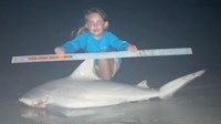 Sharkaholics - Emma Knight