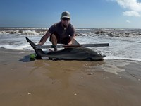 Team JackWagon - Blair Clendennen