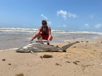 Just Bitten Shark Fishing Team - James Dickey