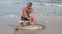 Sharkaholics - David Crain