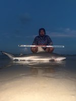 FISH ON CUSTOM LEADERS - Josh Diaz