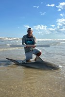 Low Tide Mafia - Ismael Caballero
