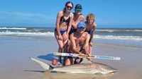 Sharkaholics - David Crain