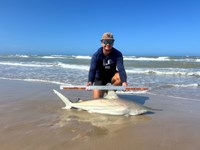 Shark Towing Co. - Lance Harms